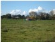 Millthorpe NSW 2798