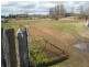 Blayney NSW 2799
