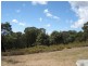 Fitzgeralds Mount NSW 2799