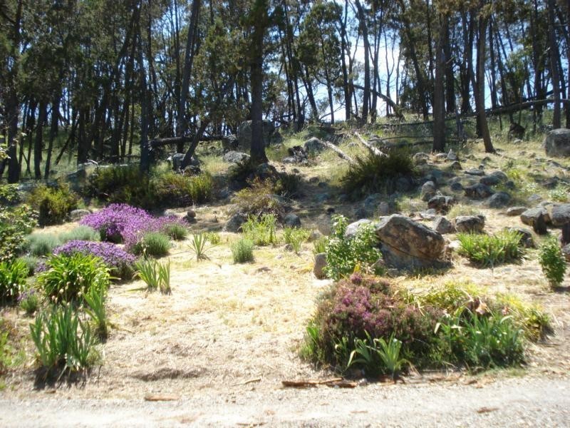 Woodstock NSW 2793
