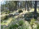 Woodstock NSW 2793