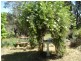 Woodstock NSW 2793