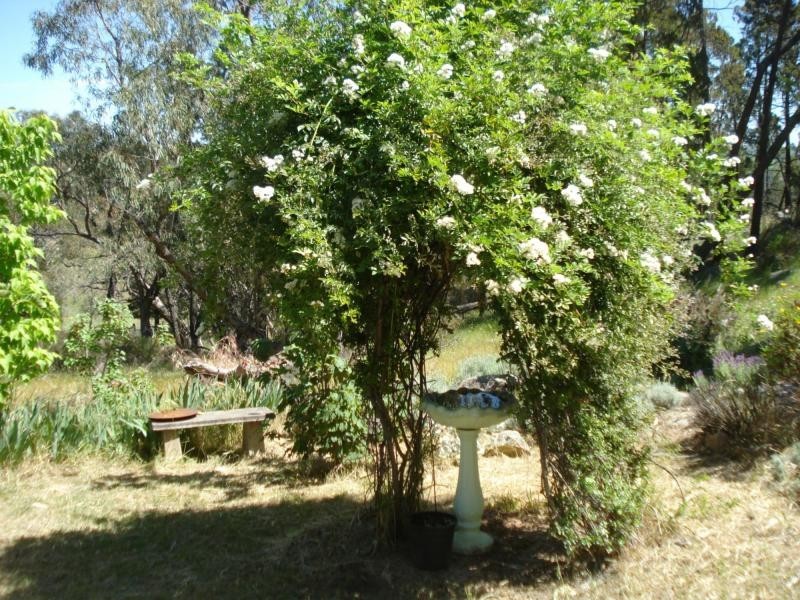 Woodstock NSW 2793