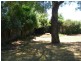 Blayney NSW 2799