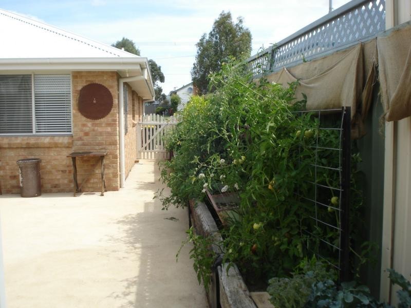 Blayney NSW 2799