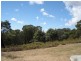Fitzgeralds Mount NSW 2799