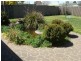 Blayney NSW 2799