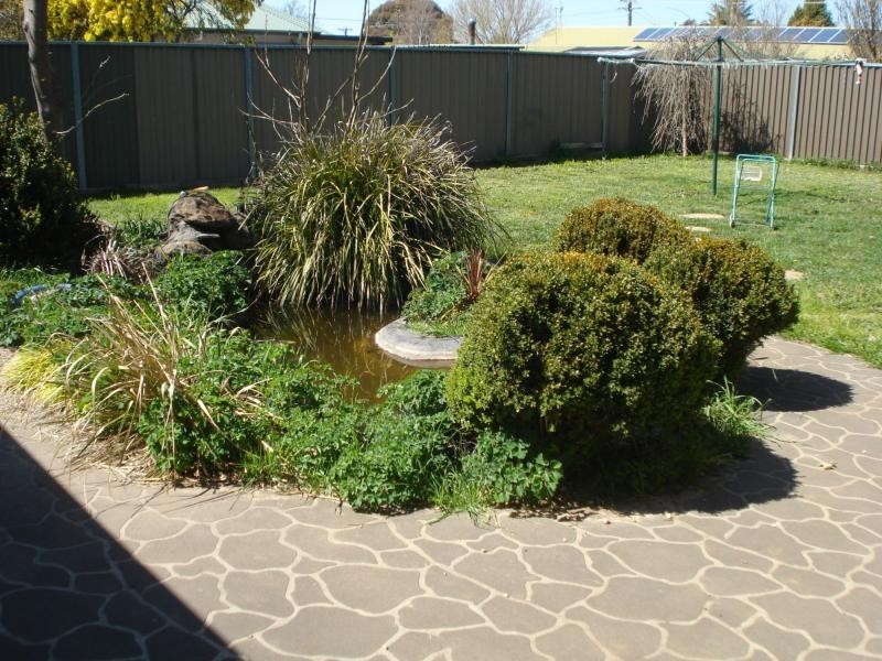 Blayney NSW 2799