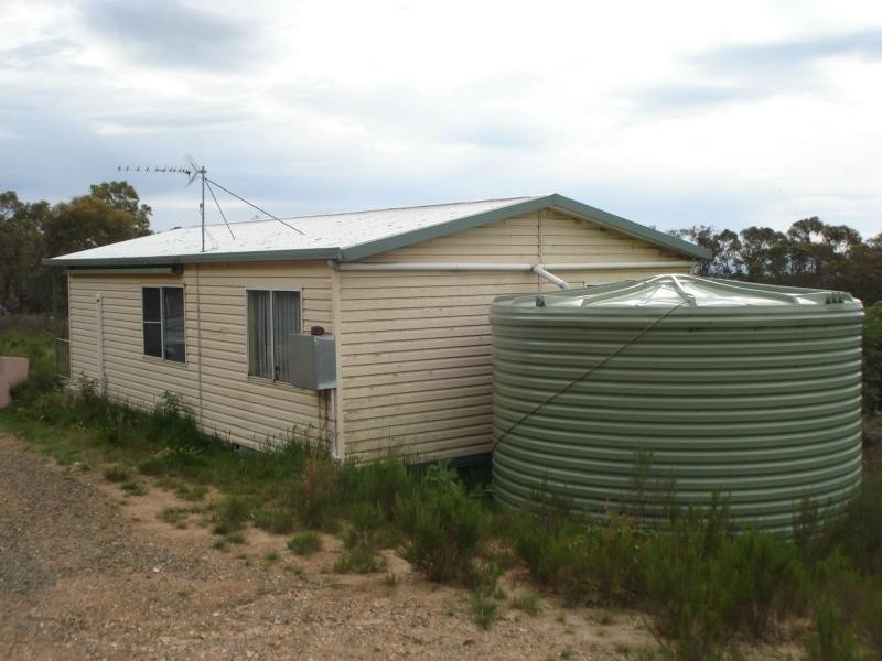 Fitzgeralds Mount NSW 2799