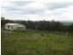 Fitzgeralds Mount NSW 2799