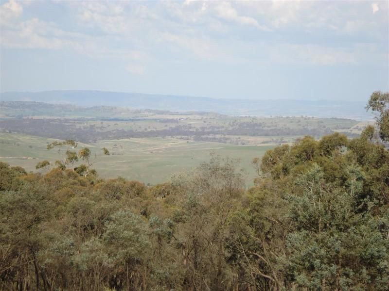 Fitzgeralds Mount NSW 2799