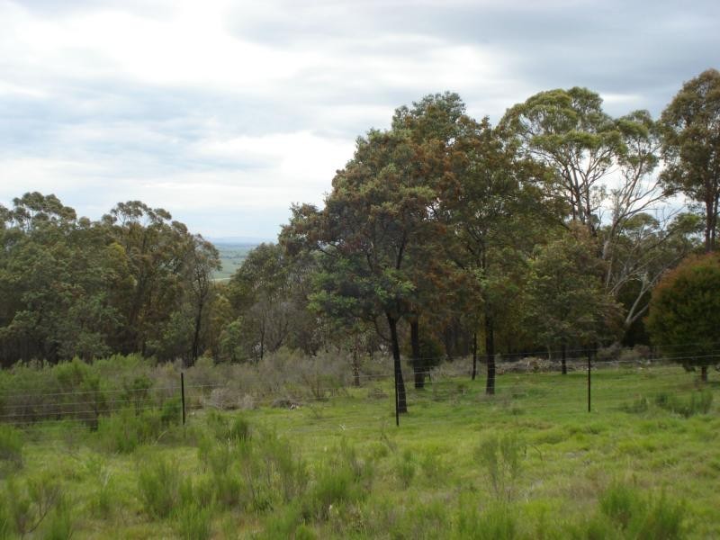 Fitzgeralds Mount NSW 2799