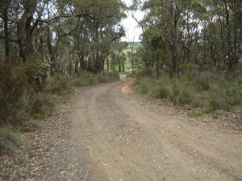 Fitzgeralds Mount NSW 2799