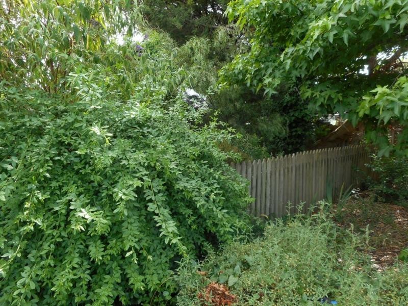 44 Orange Road, Blayney NSW 2799