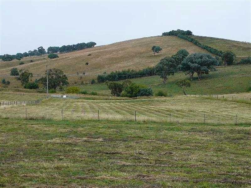 Kings Plains NSW 2799