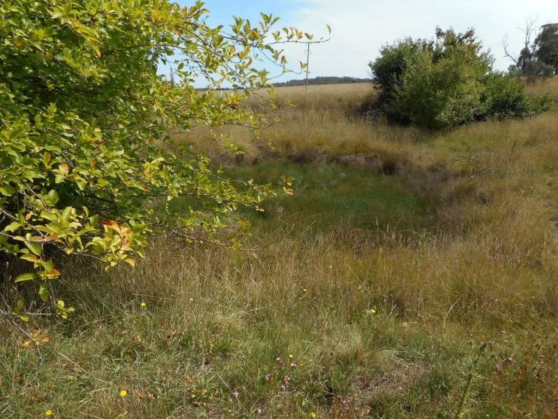 Kings Plains NSW 2799