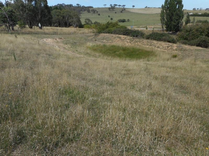 Kings Plains NSW 2799