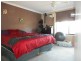 Blayney NSW 2799
