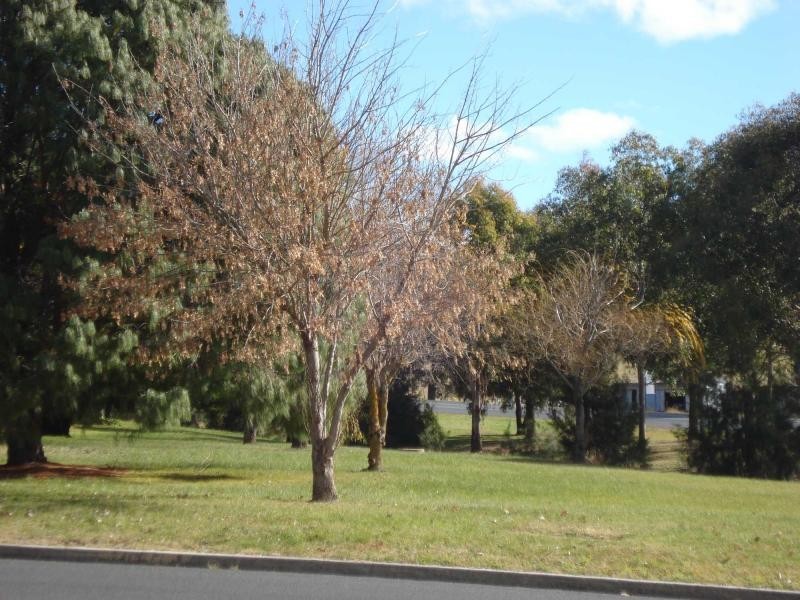 4 Medway Street, Blayney NSW 2799