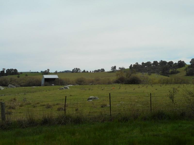 7 Pearson Street, Barry NSW 2799