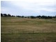 Kings Plains NSW 2799