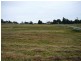 Kings Plains NSW 2799
