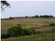 Kings Plains NSW 2799