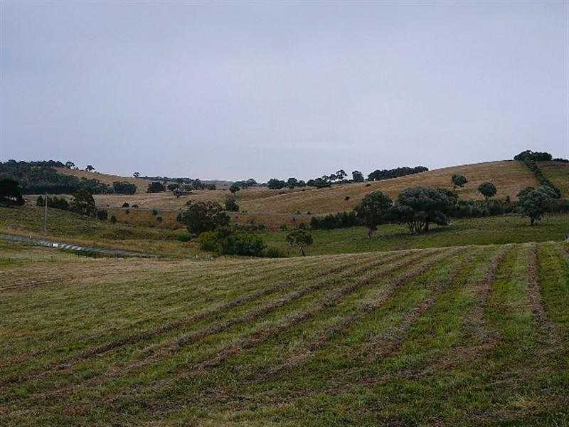 Kings Plains NSW 2799