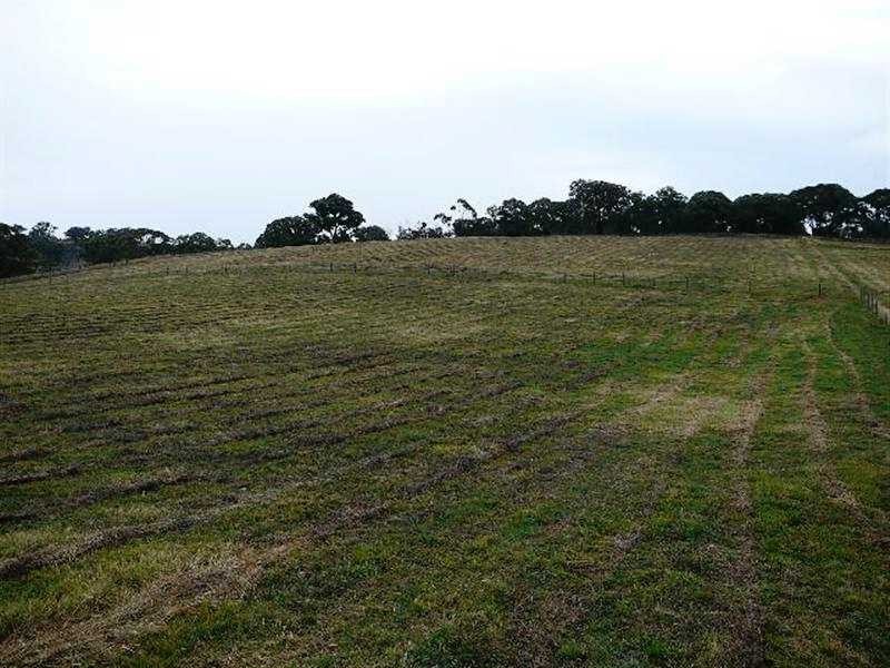 Kings Plains NSW 2799