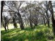 Kings Plains NSW 2799