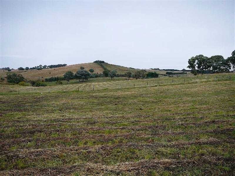 Kings Plains NSW 2799