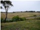 Kings Plains NSW 2799