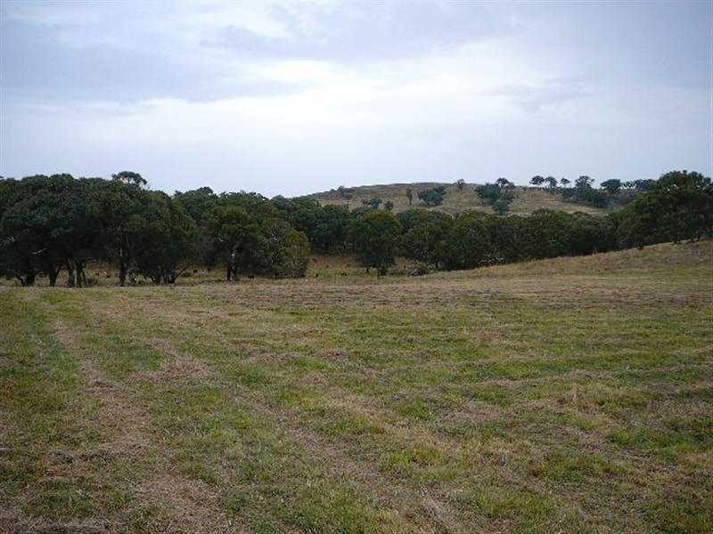 Kings Plains NSW 2799
