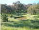 Kings Plains NSW 2799