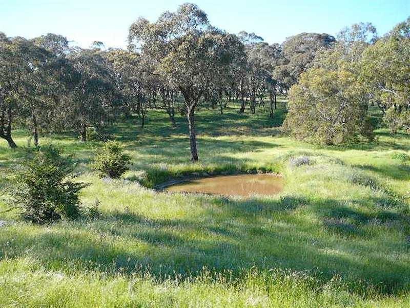 Kings Plains NSW 2799