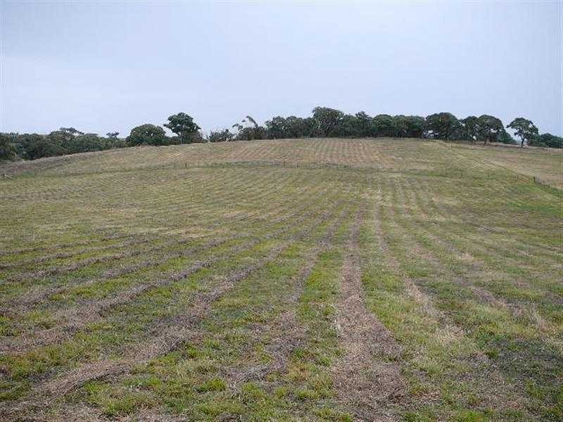 Kings Plains NSW 2799