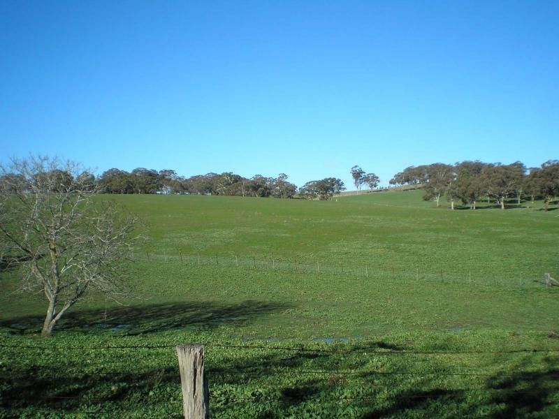 Lyndhurst NSW 2797