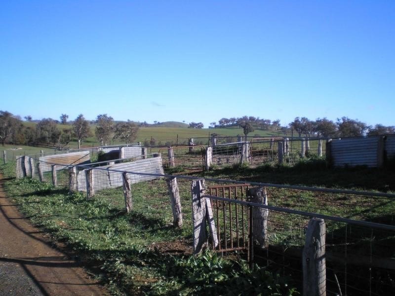 Lyndhurst NSW 2797
