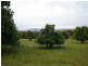Lyndhurst NSW 2797