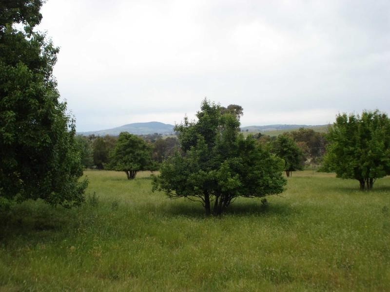 Lyndhurst NSW 2797