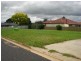 Blayney NSW 2799