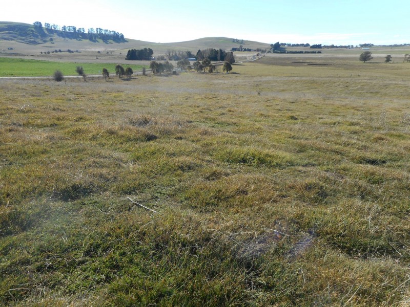 Barry NSW 2799