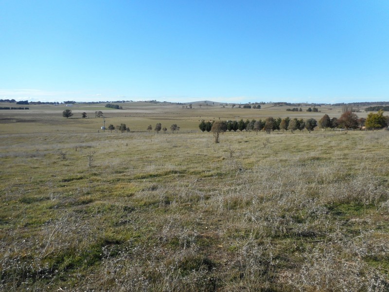 Barry NSW 2799