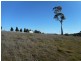 Barry NSW 2799