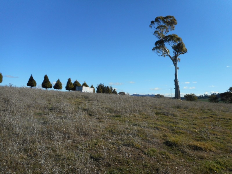Barry NSW 2799