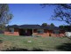 Blayney NSW 2799