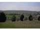 Blayney NSW 2799