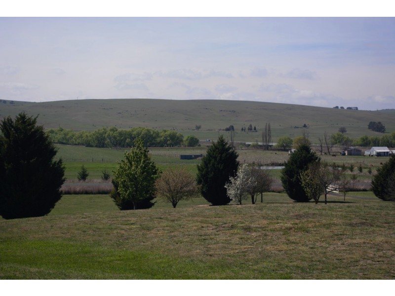 Blayney NSW 2799