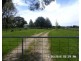 Blayney NSW 2799
