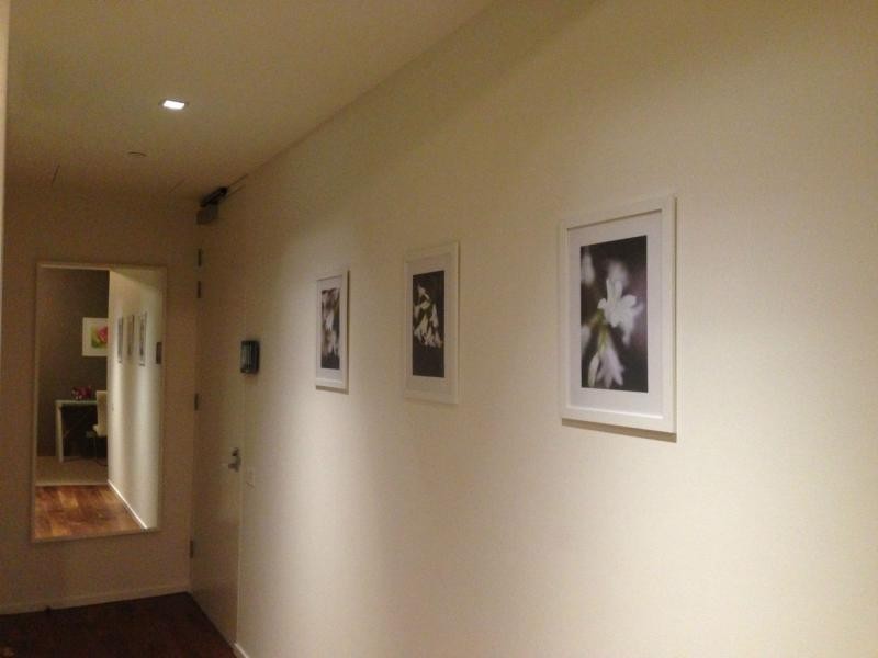 Level 20/3 Carlton Street, Chippendale NSW 2008